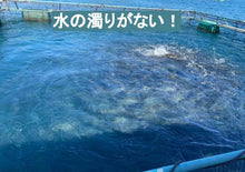 画像をギャラリービューアに読み込む, ブリコング (水産用飼料添加物)