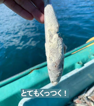 画像をギャラリービューアに読み込む, ブリコング (水産用飼料添加物)